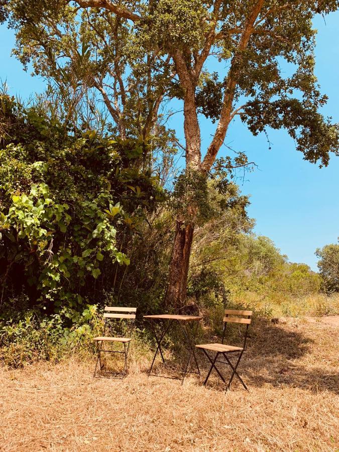 فندق Private Eco Glamping In Aljezur Alfambras المظهر الخارجي الصورة